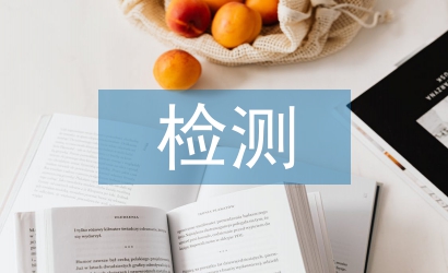 瀝青路面平整度檢測研究