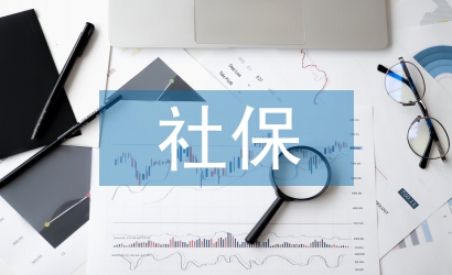社保局年度工作總結