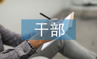 干部監督工作總結