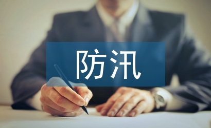 防汛抗洪工作總結