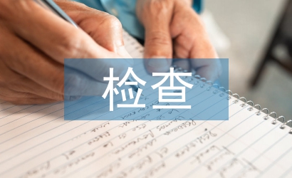迎接檢查匯報材料